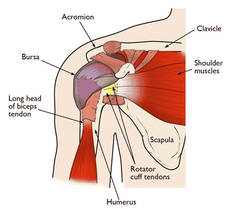 Understanding A Bursitis Diagnosis Integrative Sports Medicine